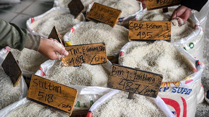 KONTRADIKTIF KEBIJAKAN BANTUAN SOSIAL BERAS DAN DIVERSIFIKASI PANGAN