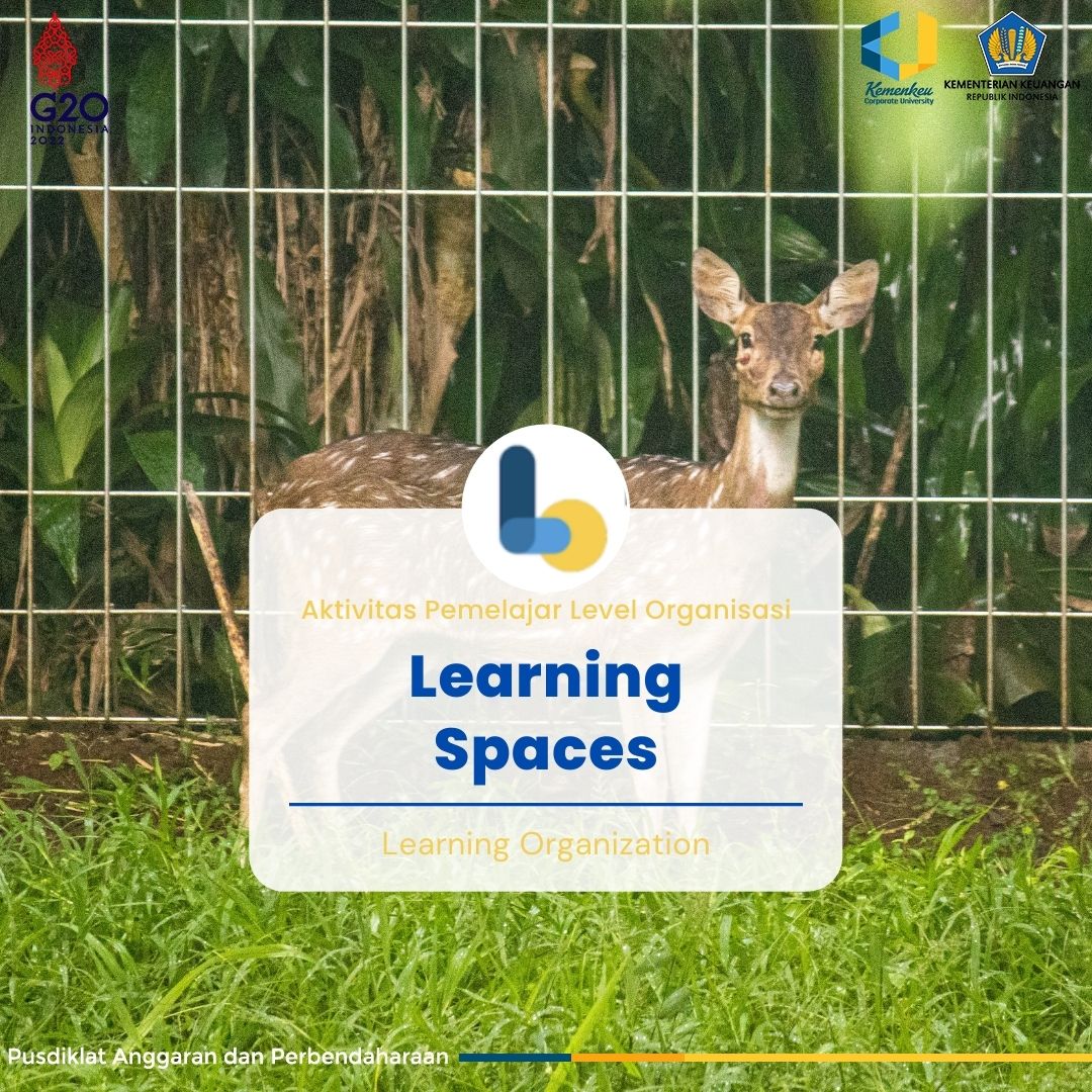 Aktivitas Pemelajar Level Organisasi - Learning Spaces