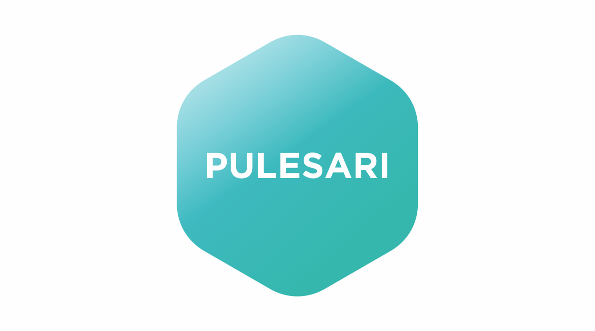 Capacity Building di Desa Wisata Pulesari