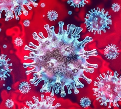 Pengaruh Corona Virus Disease-19 Bagi Pelatihan di BDK Pekanbaru