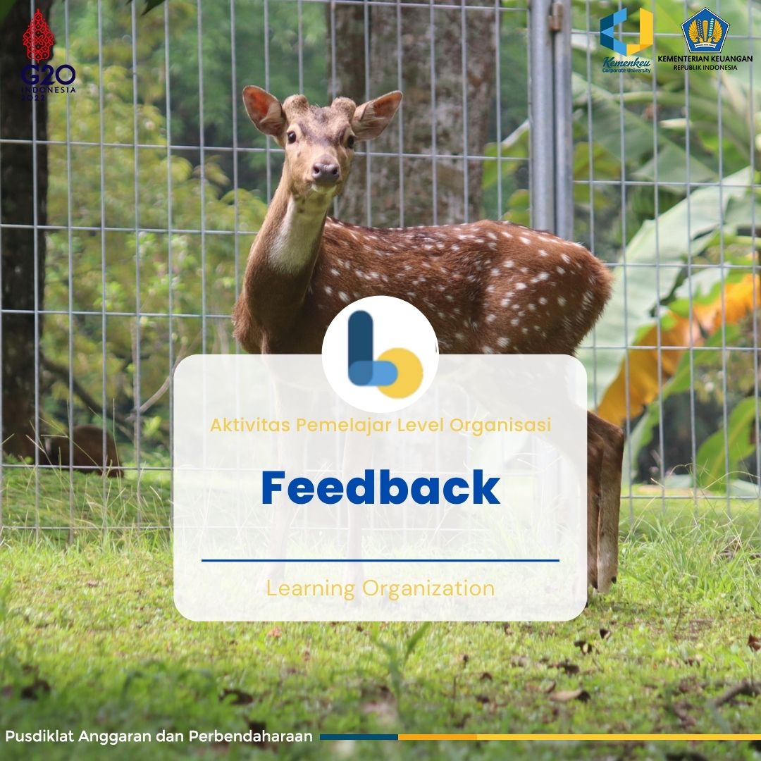 Feedback