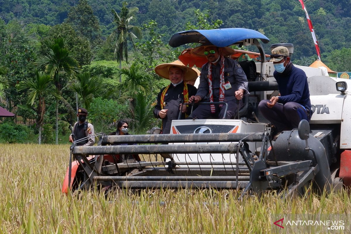 SWASEMBADA PANGAN PROVINSI KALIMANTAN BARAT